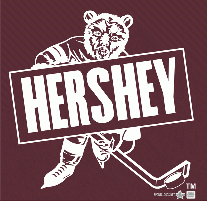 Hershey Bears 1973 74 Alternate Logo iron on transfers for T-shirts